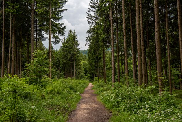 Een prachtig gebied voor een ontspannen wandeling