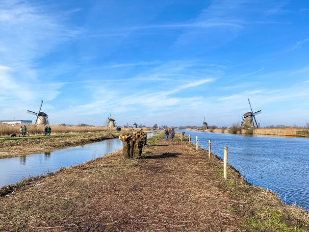 Wandelen rondom de molens in Kinderdijk