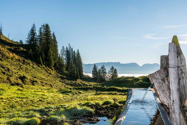 Vanuit Saalfelden kun je de Saalachtaler Rundweg wandelen