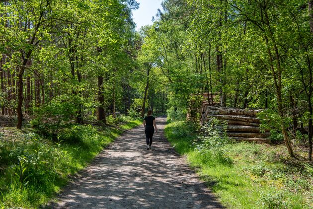 In de omgeving van Beerze kun je hele mooie wandelingen maken