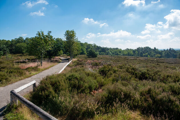 De ideale plek om te wandelen en tot rust te komen