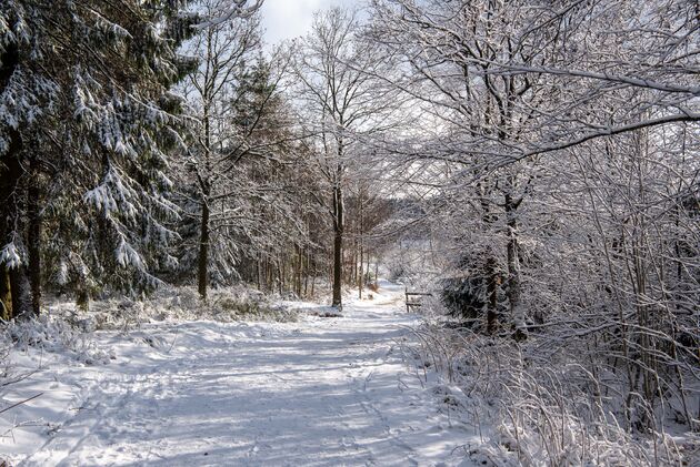 Krijg jij ook al zin in een winterwandeling?