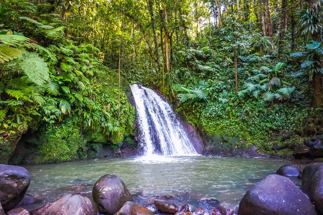 Hiken naar de Carbet Falls van Basse-Terre