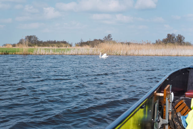 Een prachtig gebied om doorheen te varen - en zeker met een fluisterboot!