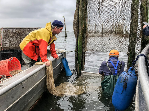 Weer of geen weer: deze vissers gaan het water in om ansjovis te vangen