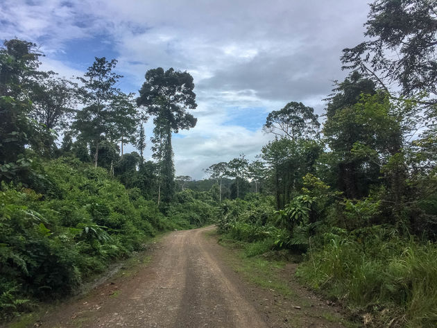 Onderweg naar het Danum Valley Field Center in onze 4x4