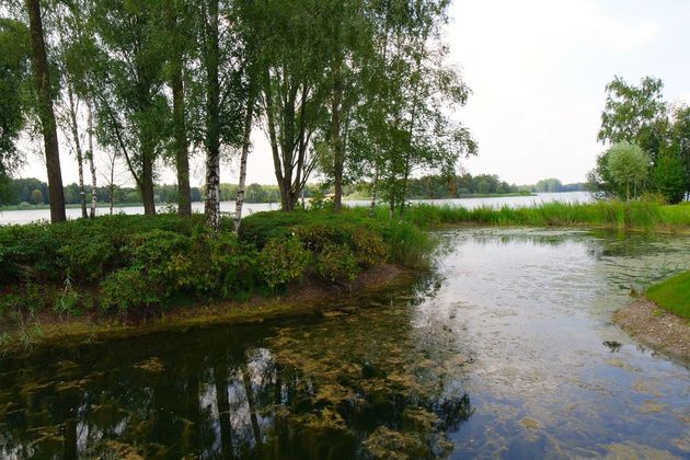 Het meer van Bussloo waar we de clinic gaan doen