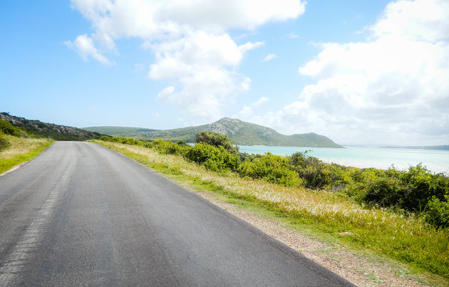 West Coast NP is ideaal om met de auto doorheen te rijden