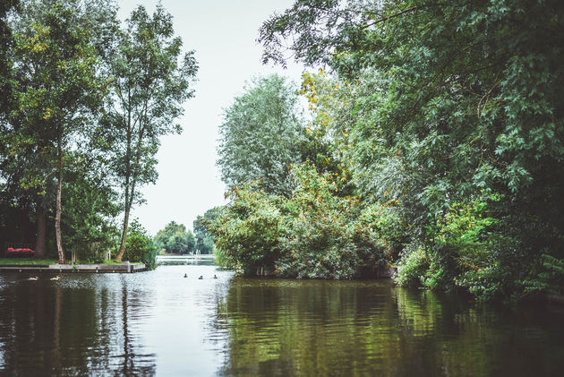 Zeker doen in Aalsmeer: varen op de Westeinderplassen