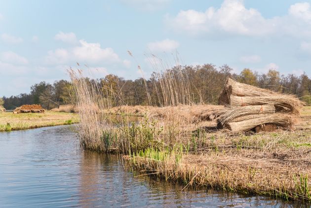 Vanuit Giethoorn vaar je het natuurgebied in