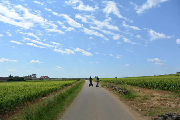 Op segways tussen de wijnvelden door!