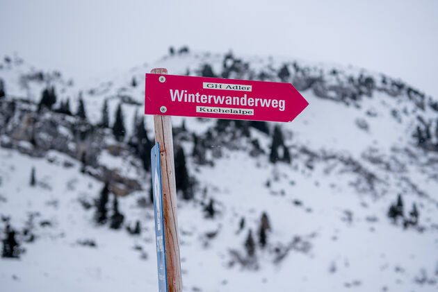 De routes zijn geschikt voor wandelaars \u00e9n langlaufers