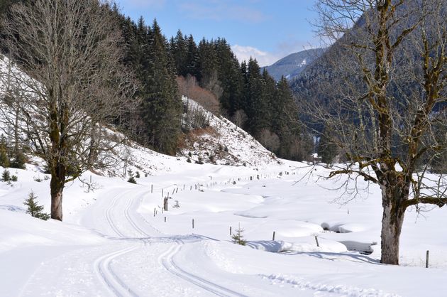 We maken nog een lekkere winterse wandeling