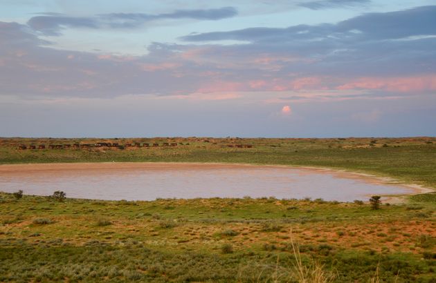 Uitzicht over de zoutpan, met in de verte de lodges