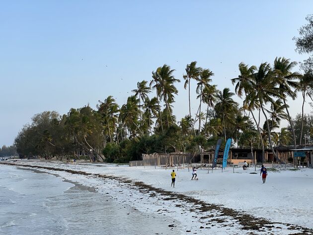 <em>Ook de stranden van Zanzibar staan vol palmnomen.<\/em>