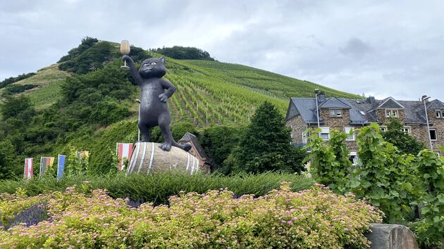 En natuurlijk bij Zell de bekende Zeller Schwarze Katz