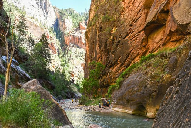 Ga hiken door de Narrows van Zion National Park