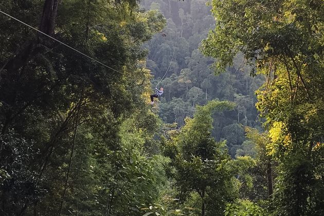 En zo ziet het er dus uit als je door de jungle vliegt!