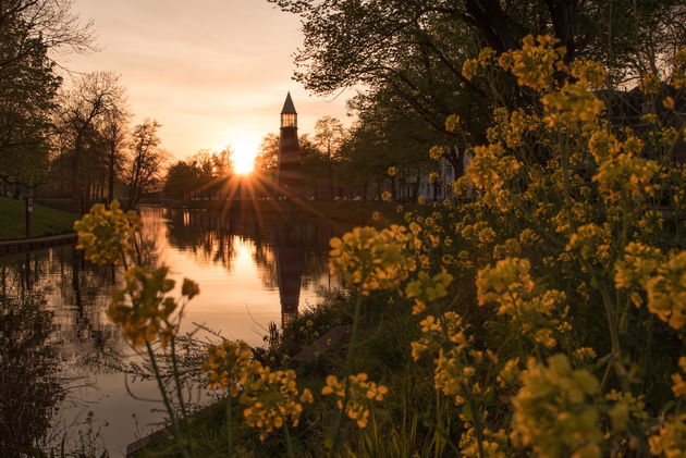 Zonsondergang in het Valkenberg. Z\u00f3 mooi is Breda dus...