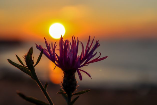 Aan prachtige zonsondergangen hier geen gebrek