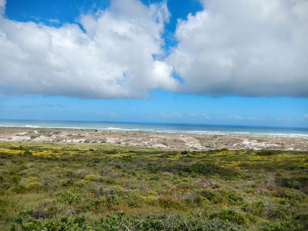 De pure Westkust van Zuid-Afrika is de `real thing`