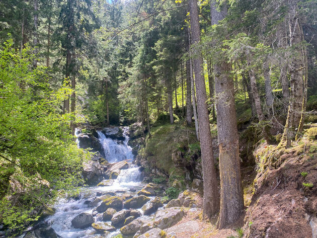 Typisch Zuid-Tiroolse hike-aangezichten. Love it!