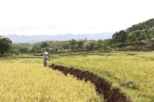 Het binnenland in Zuid-Vietnam is prachtig