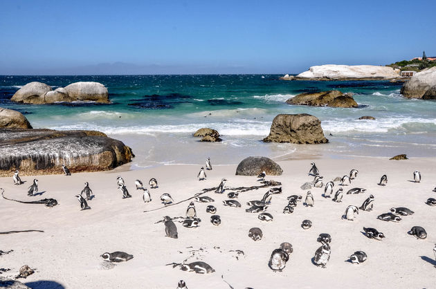 Zet jij dit bijzondere strand op je bucketlist?